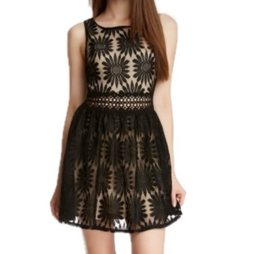 Socialite Black / Nude Lace Dress